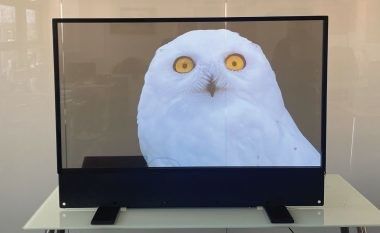 맞춤형 울트라 얇은 OLED 투명 디스플레이 실내 광고
