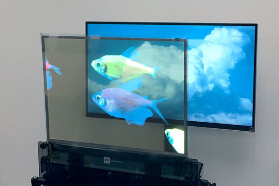 높은 밝기 OLED 투명 디스플레이, 풀 컬러 맑은 OLED 화면 다목적